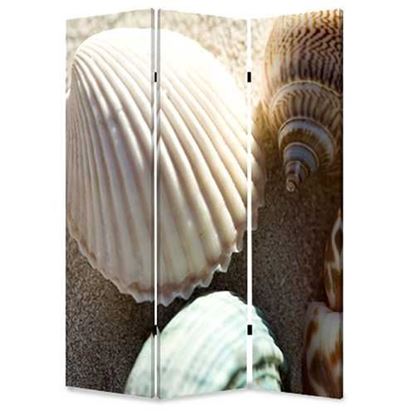 Picture of 1" x 48" x 72" Multi Color Wood Canvas Sea Shell  Screen