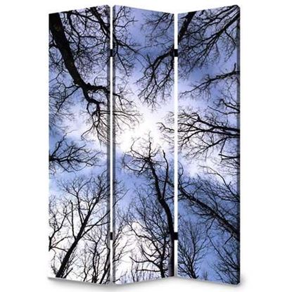 Image de 1" x 48" x 72" Multi Color Wood Canvas Forest  Screen