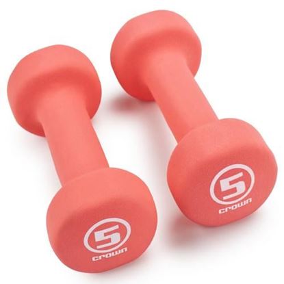 Picture of Pair of 5lb Salmon Neoprene Body Sculpting Hand Weights