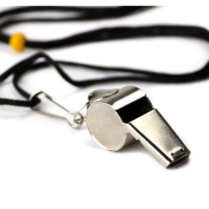 Picture of Stainless Steel Coach's Whistle with Lanyard