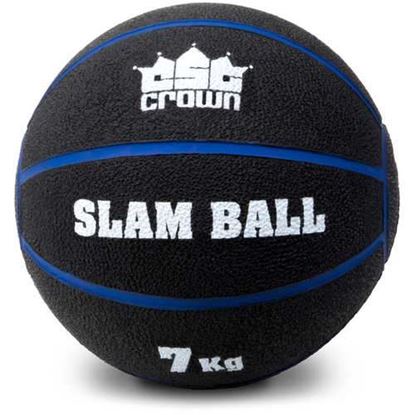 Picture of Weighted Slam Ball, 7kg 15.4lbs