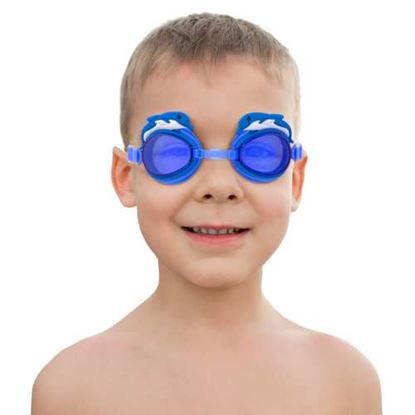 Picture of Dolphin Goggles, Blue