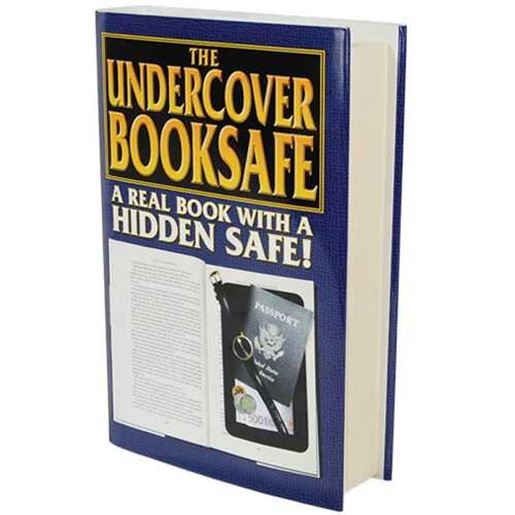 Picture of Book Diversion Safe