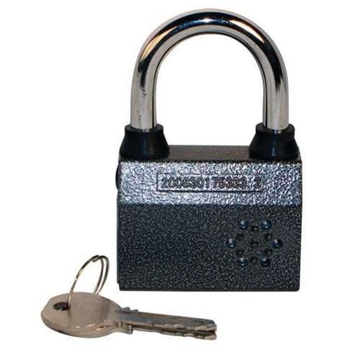 Picture of Small Alarmed Padlock