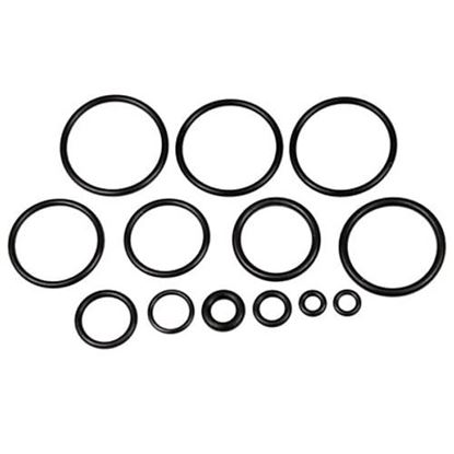 Picture of Air Venturi G4 Pump O-Ring Repair Kit