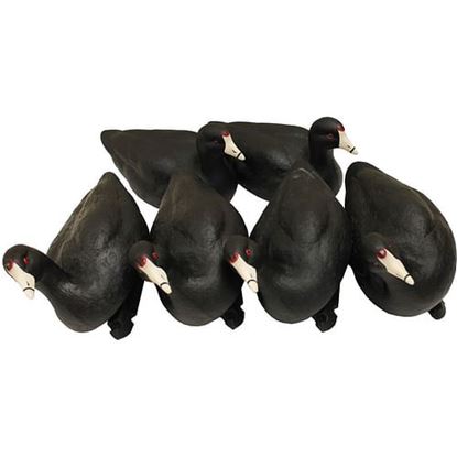 Picture of MOJO Coot Confidence Decoys 6 pk.