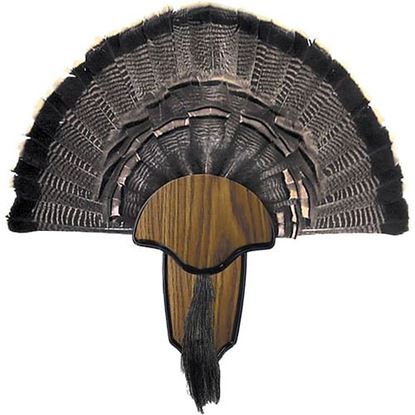 Picture of Hunters Specialties Turkey Mount Kit Tail & Beard