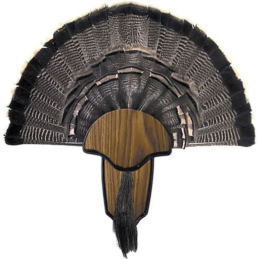 Picture of Hunters Specialties Turkey Mount Kit Tail & Beard