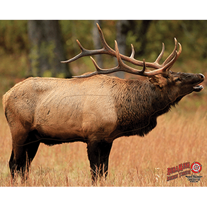 Picture of DuraMesh Archery Target Elk 1 25 in. x 32 in.