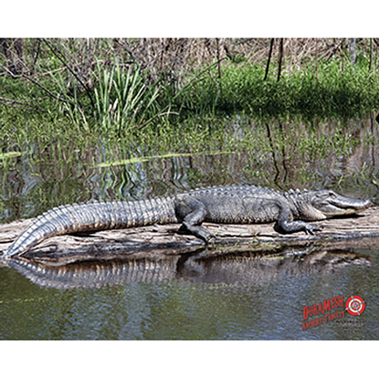 Picture of DuraMesh Archery Target Alligator 25 in. x 32 in.