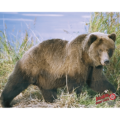 Picture of DuraMesh Archery Target Grizzly Bear 25 in. x 32 in.