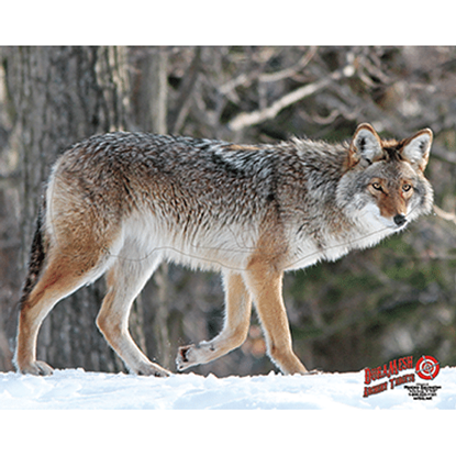 Picture of DuraMesh Archery Target Coyote 25 in. x 32 in.