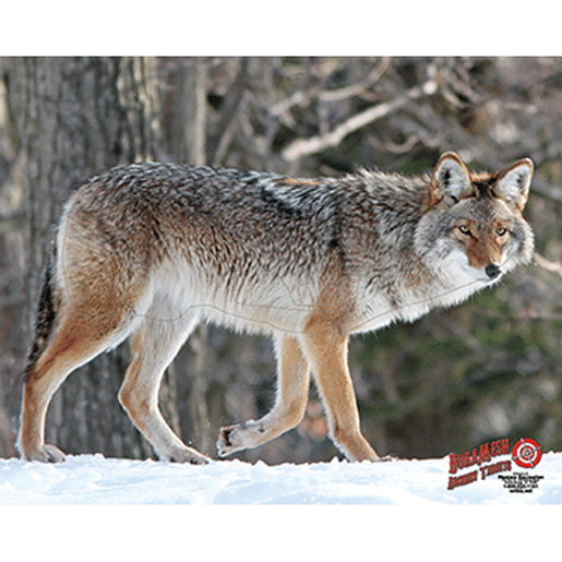 Picture of DuraMesh Archery Target Coyote 25 in. x 32 in.