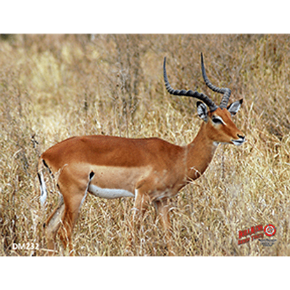 Picture of DuraMesh Archery Target Impala 25 in. x 32 in.