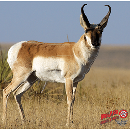 Picture of DuraMesh Archery Target Antelope 25 in. x 32 in.