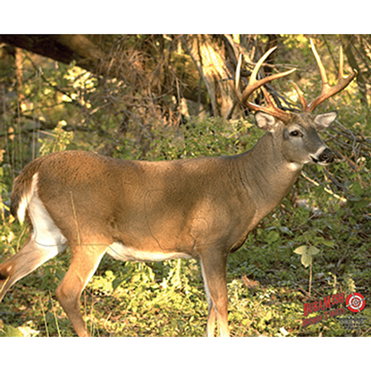 Picture of DuraMesh Archery Target Whitetail 3 25 in. x 32 in.