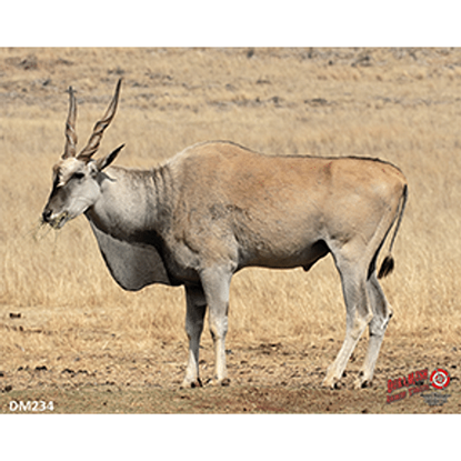 Picture of DuraMesh Archery Target Eland 25 in. x 32 in.