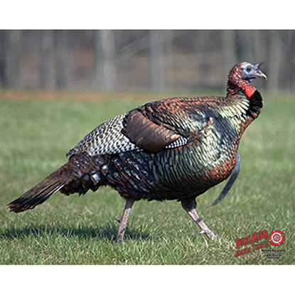 Picture of DuraMesh Archery Target Turkey 25 in. x 32 in.