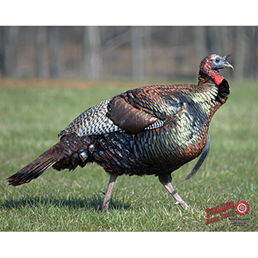 Picture of DuraMesh Archery Target Turkey 25 in. x 32 in.