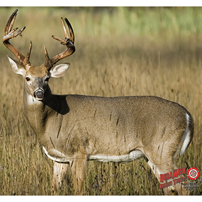 Picture of DuraMesh Archery Target Whitetail 4 25 in. x 32 in.