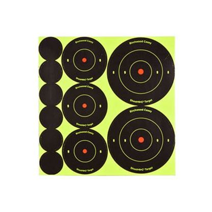 Picture of Birchwood Casey Shoot-N-C Self-Adhesive Round Bullseye Targets & Pasters, 121ct