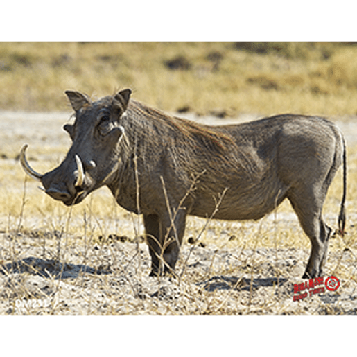 Picture of DuraMesh Archery Target Warthog 25 in. x 32 in.