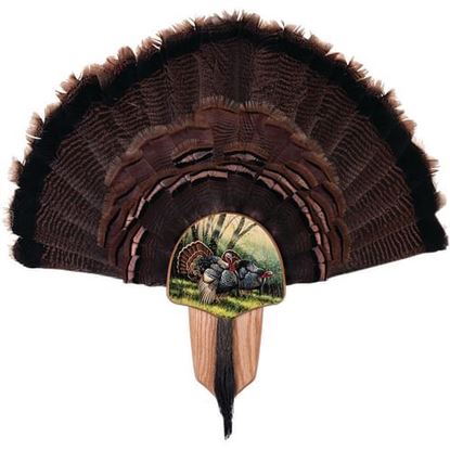 Picture of Walnut Hollow Turkey Display Kit Spring Strut