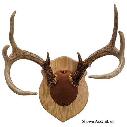 Picture of Walnut Hollow Antler Mounting Kit Solid Oak