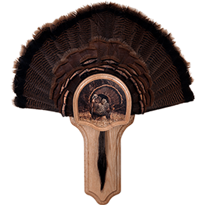 Picture of Walnut Hollow Deluxe Turkey Display Kit Oak