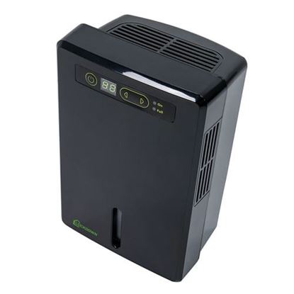 Picture of Lockdown Compact Automatic Dehumidifier