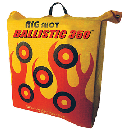 Picture of Big Shot Ballistic 350 Bag Target