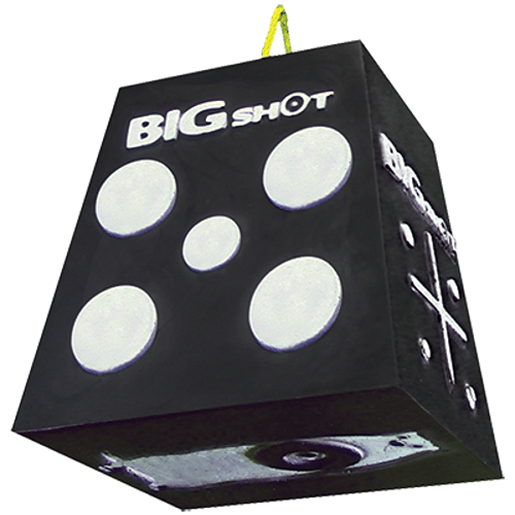 Picture of Big Shot Titan Broadhead Target