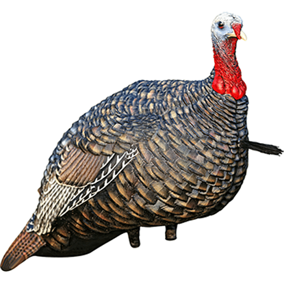 Picture of Avian X Quarter Strut Jake Turkey Decoy