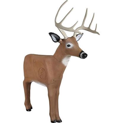 Picture of Delta McKenzie Backyard 3D Target Baby Daddy Buck