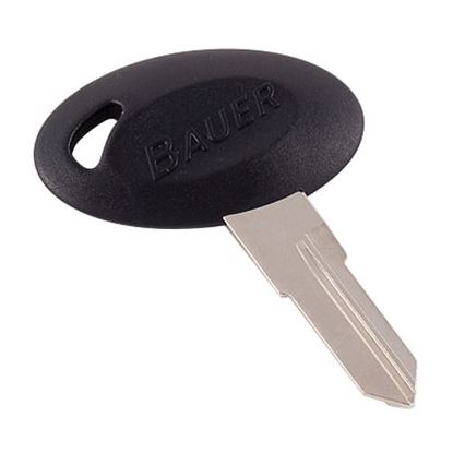 Picture of AP BLANK KEY