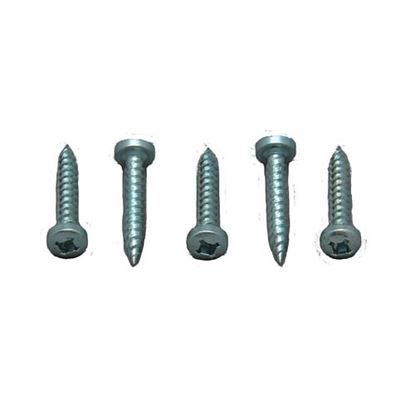 Picture of 500PK 1' RECESS SCREWS