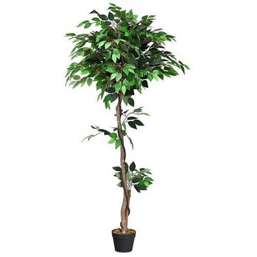 Picture of 5.5 ft Artificial Ficus Silk Tree with Wood Trunks