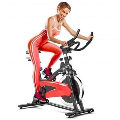 Picture of Magnetic Exercise Bike Fitness Cycling Bike with 35Lbs Flywheel for Home and Gym-Black & Red