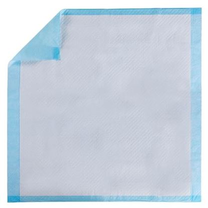 Picture of 150 pieces 30 x 30Inch Pet Wee Pee Piddle Pad  - Color: Sky Blue