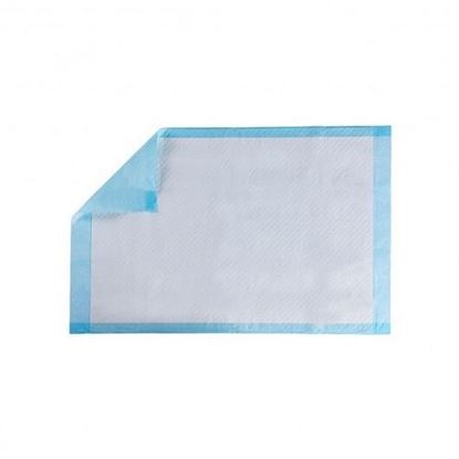 Foto de 200 Pieces 24 x 24 Inch Pet Wee Pee Piddle Pad - Color: Sky Blue
