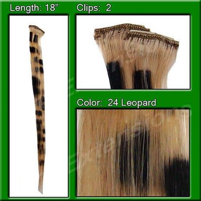 图片 Blonde Leopard Highlight Streak Pack
