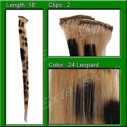 Picture of Blonde Leopard Highlight Streak Pack