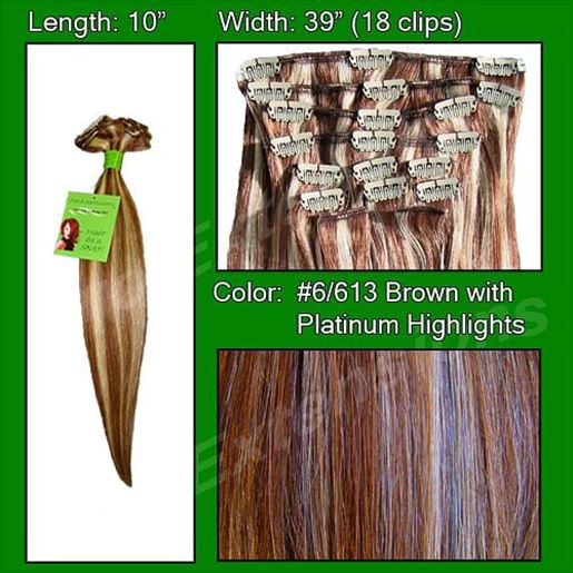 Picture of #6/613 Chestnut Brown with Platinum Highlights - 10 inch