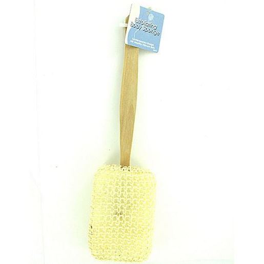 Picture of Exfoliating Backwasher with Wooden Handle ( Case of 24 )