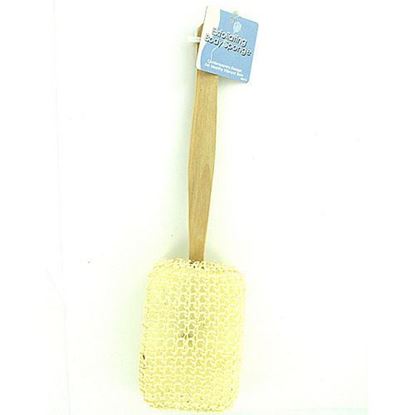 Picture of Exfoliating Backwasher with Wooden Handle ( Case of 96 )