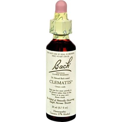 Picture of Bach Flower Remedies Essence Clematis - 0.7 fl oz