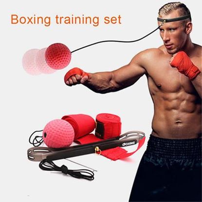 Picture of Boxing Fight Ball Set