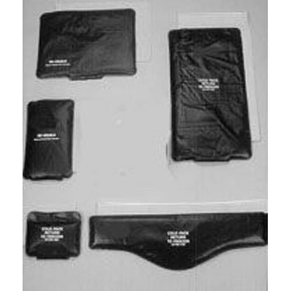 Picture of Reusable Heavy Duty Cold Pack Standard 11  X 14  Retail