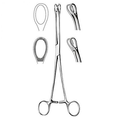 Picture of Foerster Sponge Forcep- 7  Serrated