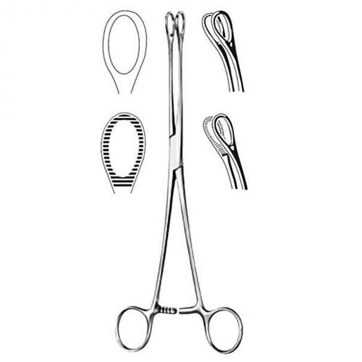 Picture of Foerster Sponge Forcep- 7  Serrated